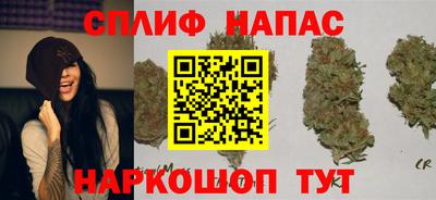 MDMA Новозыбков