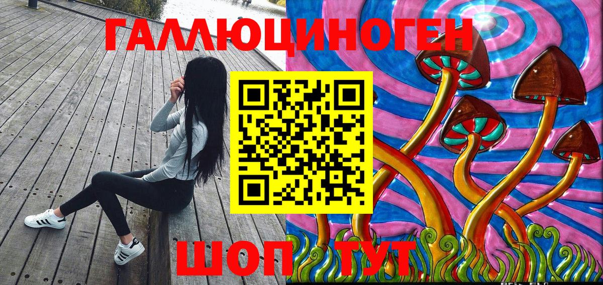 Галлюциногенные грибы Psilocybe Старая Купавна
